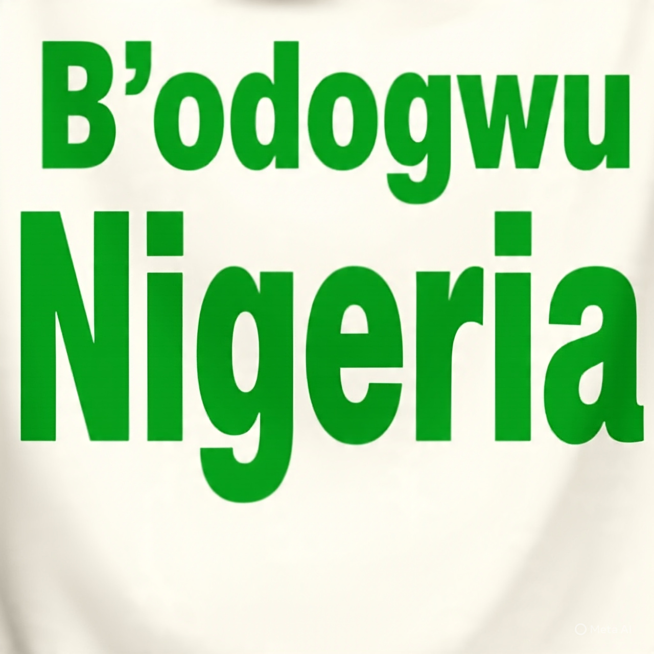 Nigeria's B'Odogwu: A Game-Changer in Customs Clearance and Trade Facilitation
